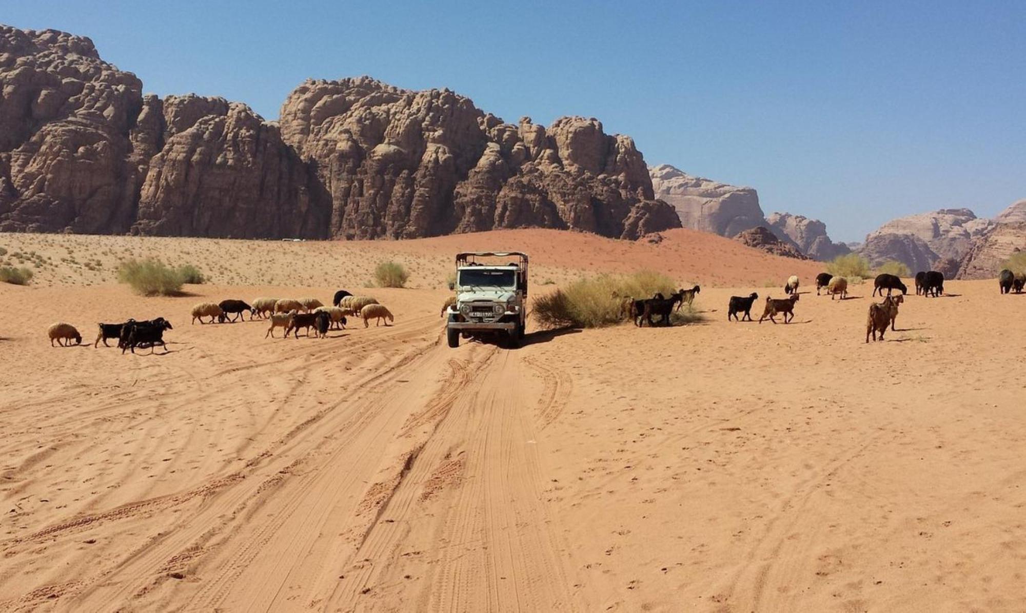 Safari Wadi Rum , Camp&tour Esterno foto